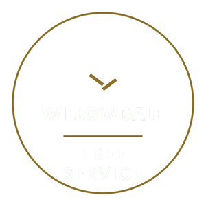 Willowdale Tree Service